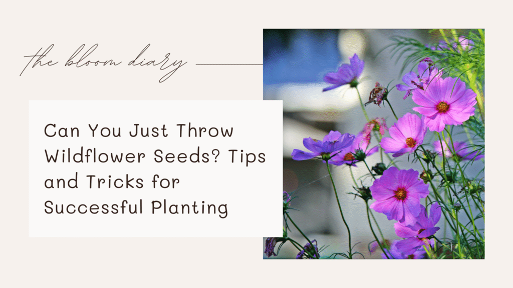 Can You Just Throw Wildflower Seeds?