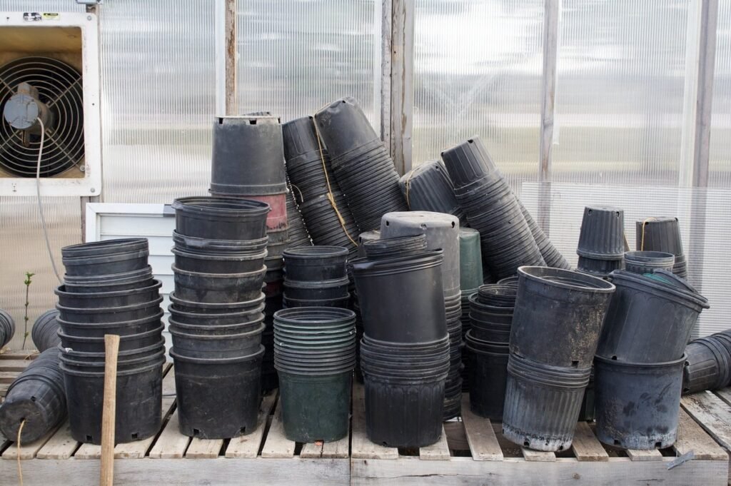 Can you plant wildflowers in a pot