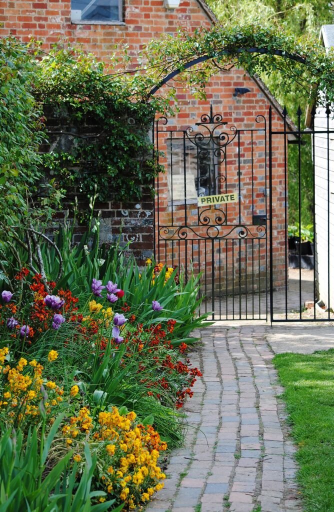 easy growing wildflowers