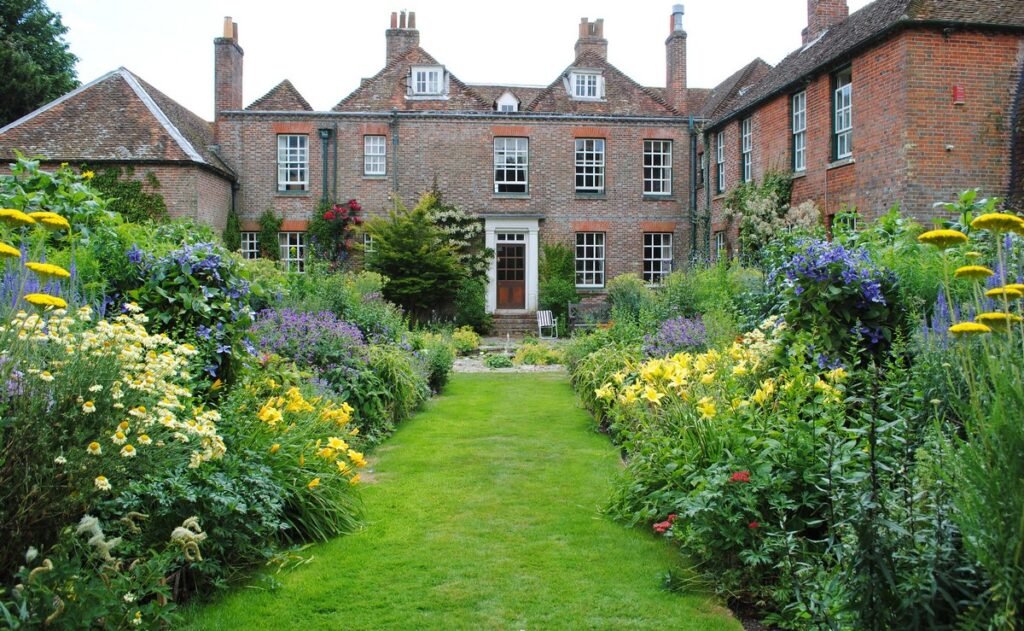 easy to grow wildflowers