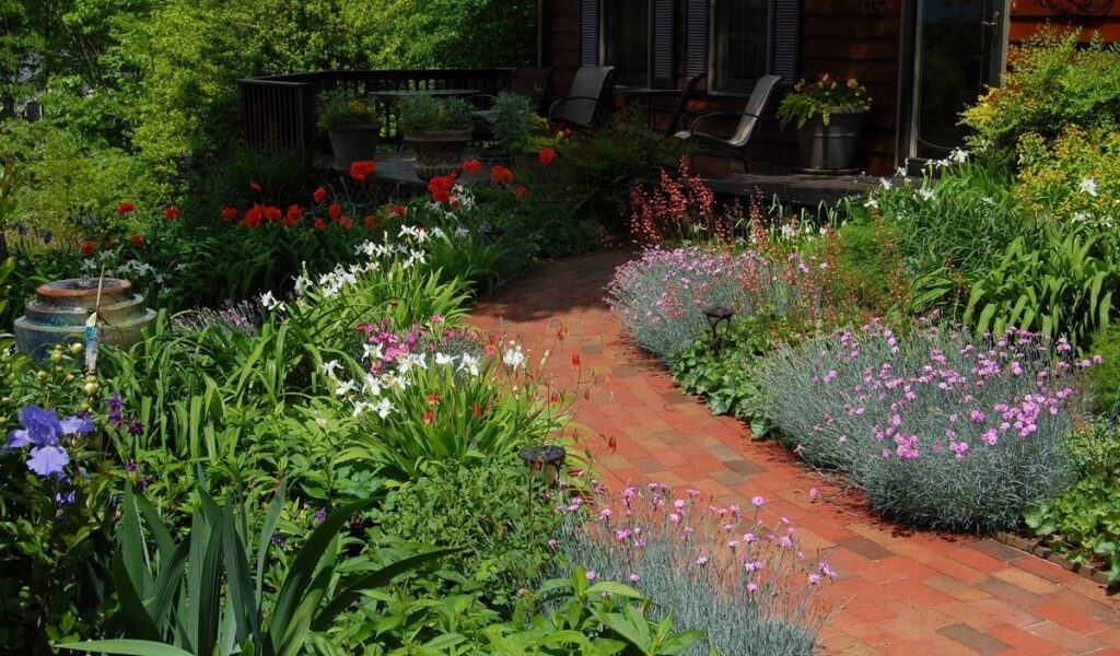 front yard wildflower lawn