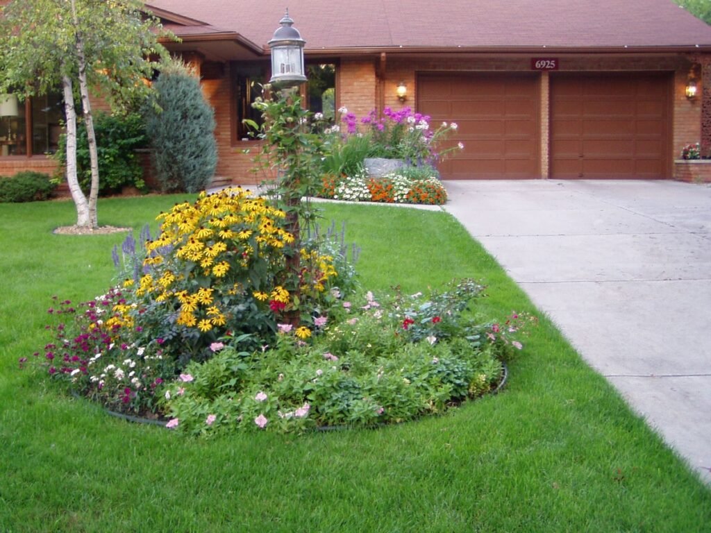 front yard wildflowers