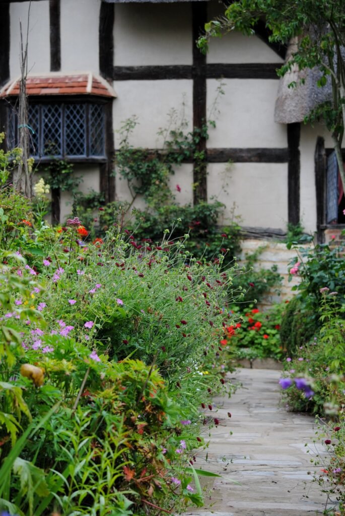 how to plant wildflowers in yard