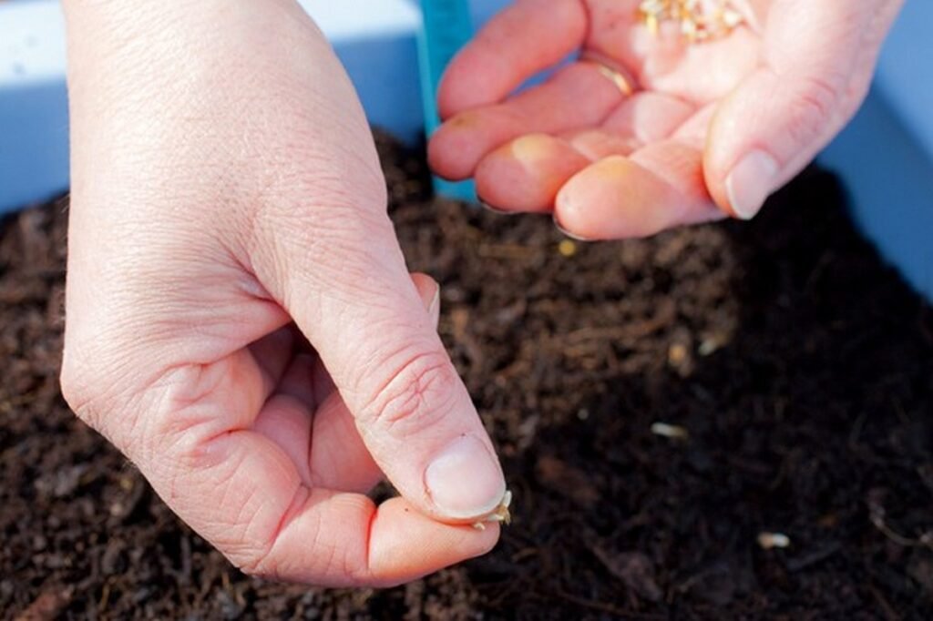 Pick a sunny location