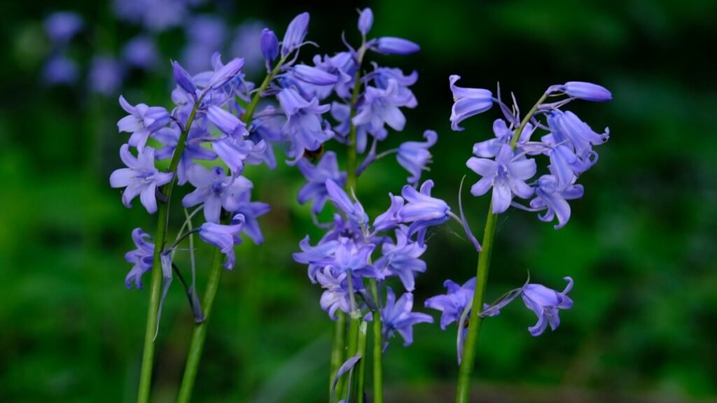 Managing Weeds and Pests