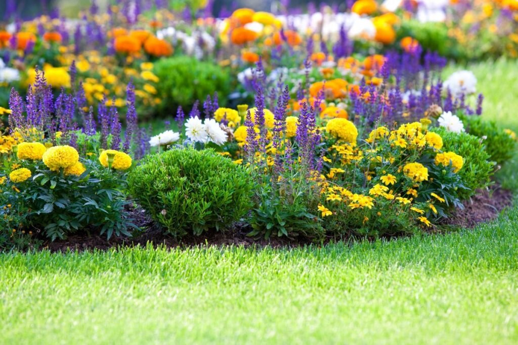 Plan wildflowers without tilling