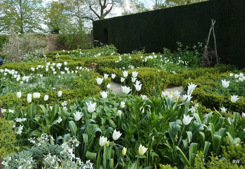 The White Garden at Sissinghurst Castle