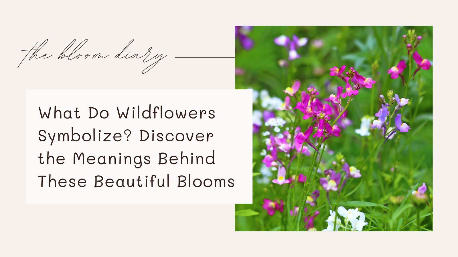 What do wildflowers symbolize