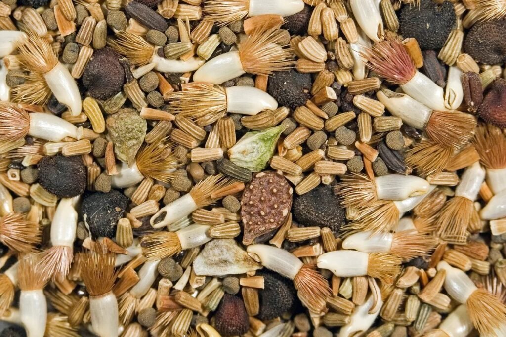 When to plant wildflower seeds based on USDA hardiness zone