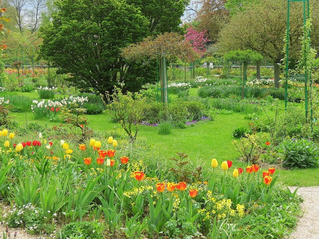wildflower garden front yard