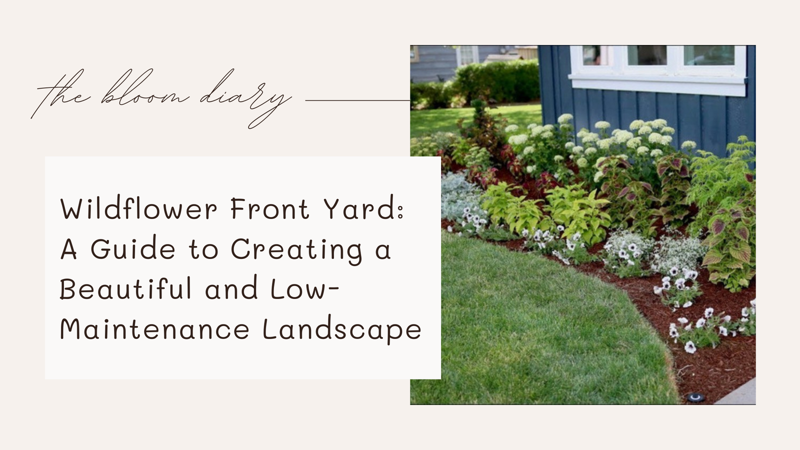 Wildflower front yard